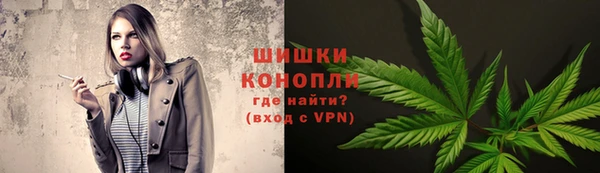 СК Медногорск